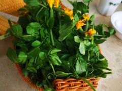 -墨脱石锅椰子鸡•香草鸭•东山羊(大东海店)