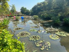 -广州莲花山旅游区