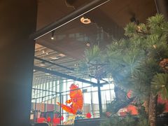 -天辣(金桥啦啦宝都店)
