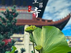 -皇罗禅寺