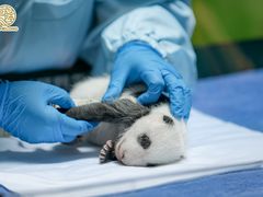 -广州长隆野生动物世界