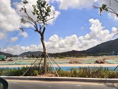 -西涌国际滨海旅游区