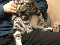 -仁普宠物诊所(住友昌盛新苑店)