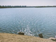 -丁香湖公园