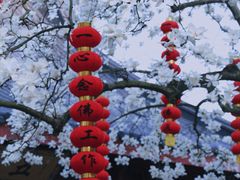 -杭州上天竺法喜讲寺