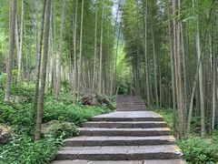 -明月山风景名胜区