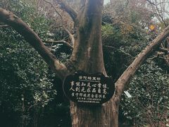 -珞珈山-售票处