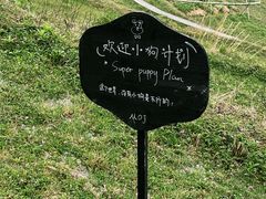 -MOJ coffee(瓯海泽雅水碓坑店)