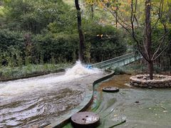 -嵖岈山风景区
