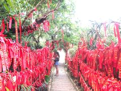 -海南铜鼓岭景区