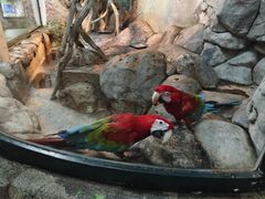 -福州罗源湾海洋世界旅游区