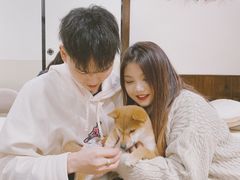 -逗柴咖啡屋·狗咖猫咖宠物桌游
