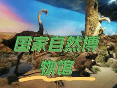 -国家自然博物馆