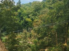 -藏龙百瀑风景区