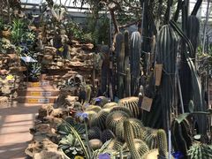 -国家植物园南园