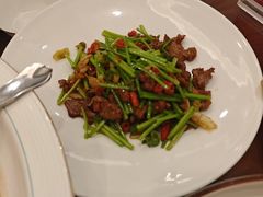 -鲁宴·鲁煨黄河生态大鲤鱼(月坛店)