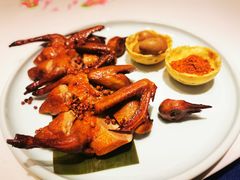 -院8里·小聚园老川菜(九眼桥店)