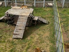 -青藏高原野生动物园