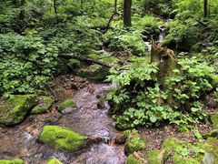 -五女峰国家森林公园