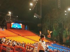 -广州长隆国际大马戏