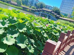 -西海子公园