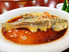 -杨正宗烤全羊(北二环店)