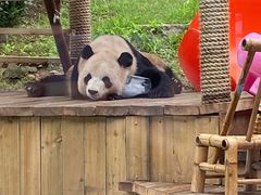 -大连森林动物园