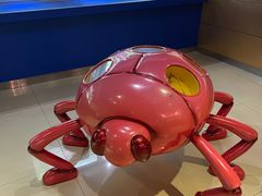 -上海昆虫博物馆