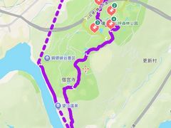 -铁山坪森林公园