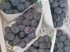 -马陆小张葡萄园农家乐