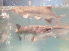 -漓江又一軒·广西菜·桂林米粉(梅林店)