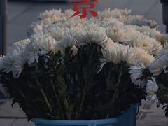 -侵华日军南京大屠杀遇难同胞纪念馆-停车场