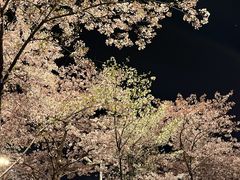 -华中科技大学光谷体育馆