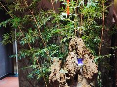 -金狮麟·新豫菜(杏石口路店)