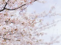 -西北湖绿化广场