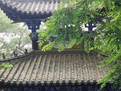 -石老人观光园