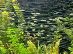 -上海海洋水族馆