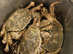 -东方红海鲜百汇(国际大厦店)