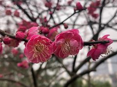 -重庆彩云湖湿地公园
