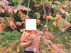 -丹东天桥沟景区