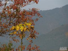 -塔川景区