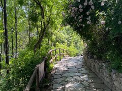 -青州仰天山