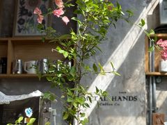-METAL HANDS(五道营店)