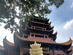 -黄鹤楼公园(黄鹤楼)