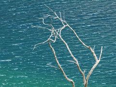 -叠溪松坪沟景区