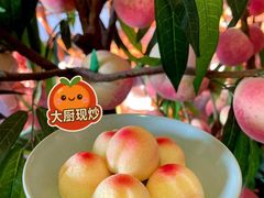 -御茶膳房皇家糕点博物馆(北京首店)