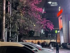-新梦百货(民族店)