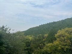 -佛慧山