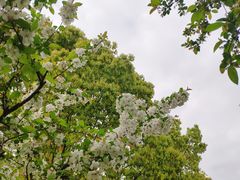 -昆山城市生态森林公园
