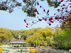 -惠山古镇·寄畅园